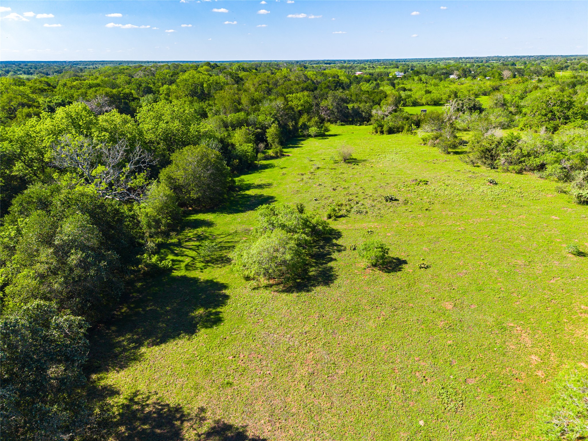 0 Sparta Field Road Waelder, TX 78959 - Photo 37 of 42 a view of lake with a yard