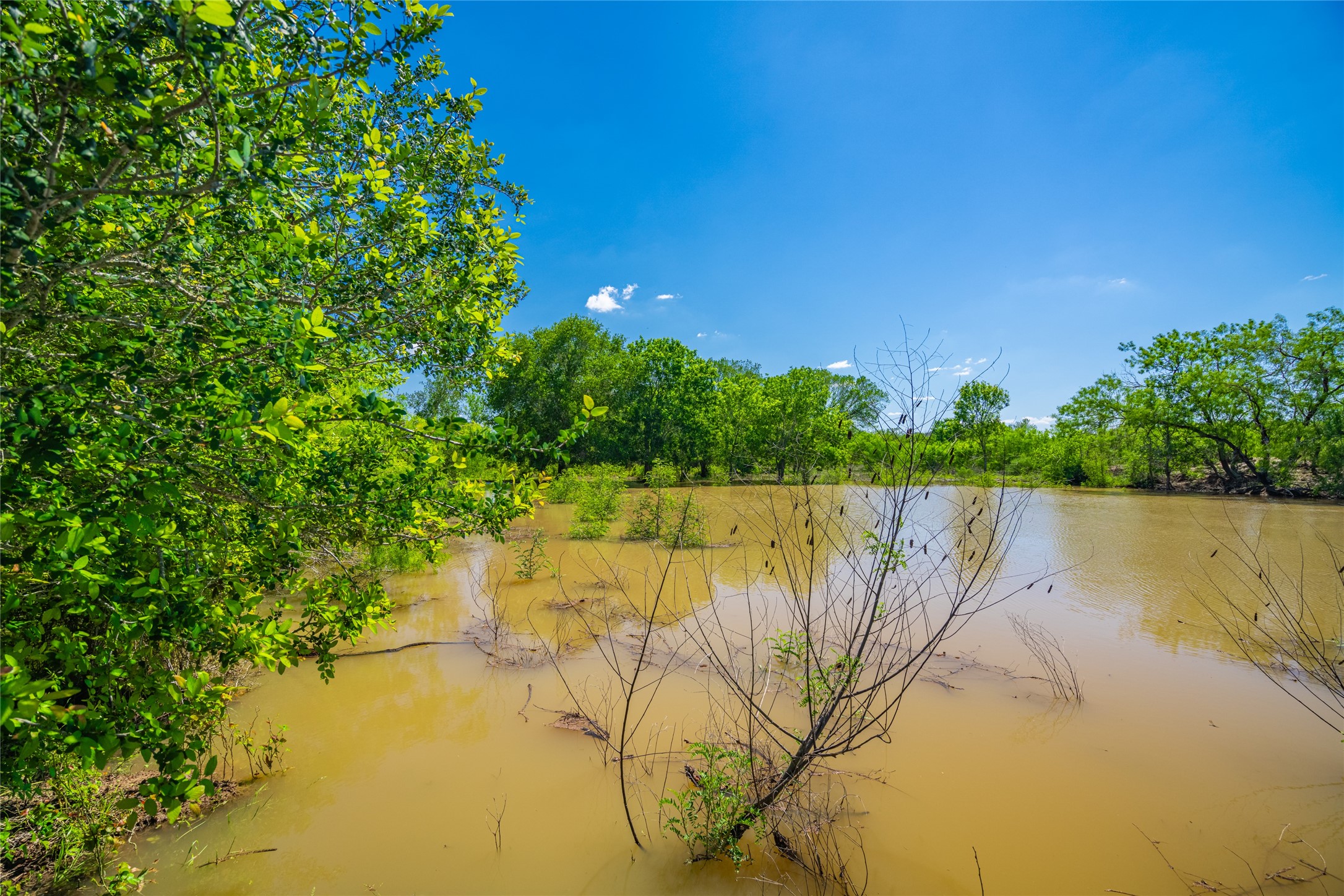 0 Sparta Field Road Waelder, TX 78959 - Photo 7 of 42 a view of lake and green space