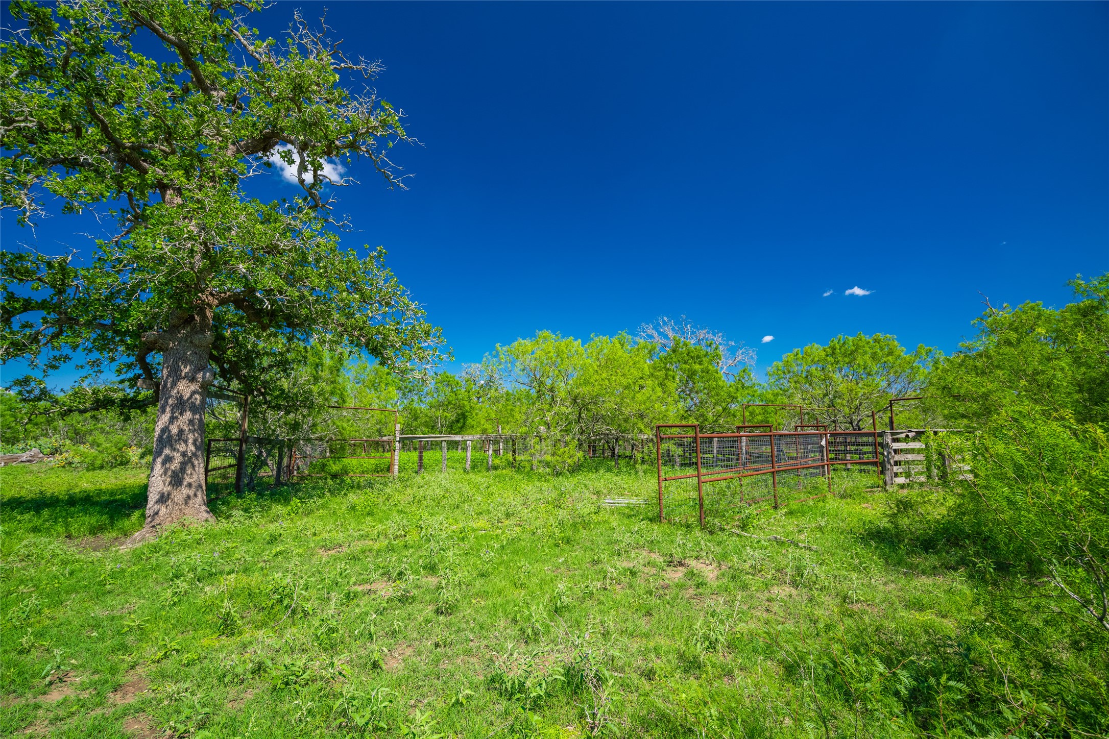 0 Sparta Field Road Waelder, TX 78959 - Photo 10 of 42 a view of outdoor space with deck and yard