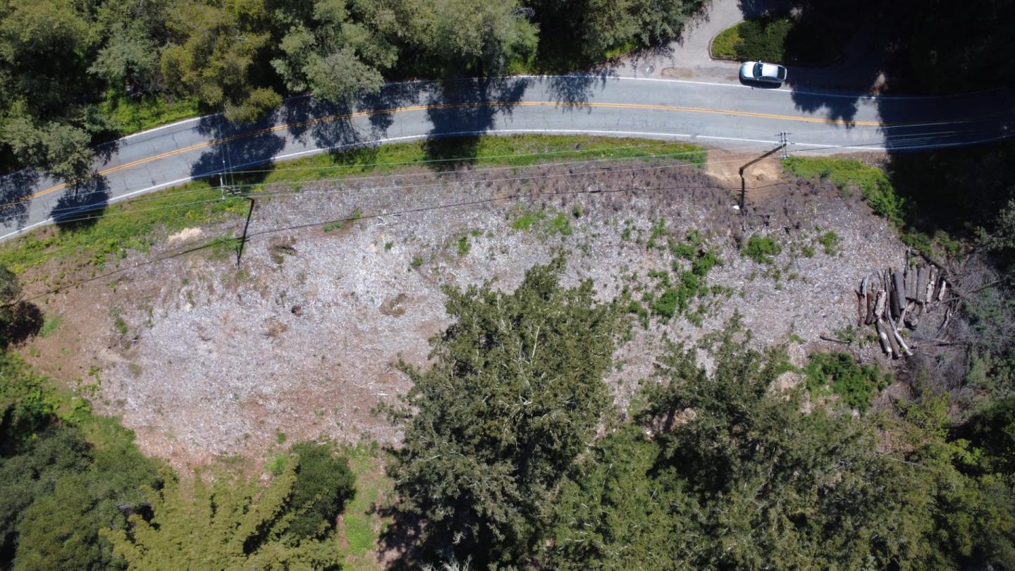a view of small yard with large trees