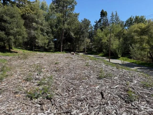 a view of outdoor space with trees