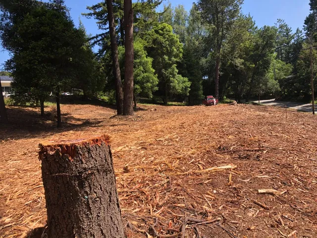 a view of a backyard of the house
