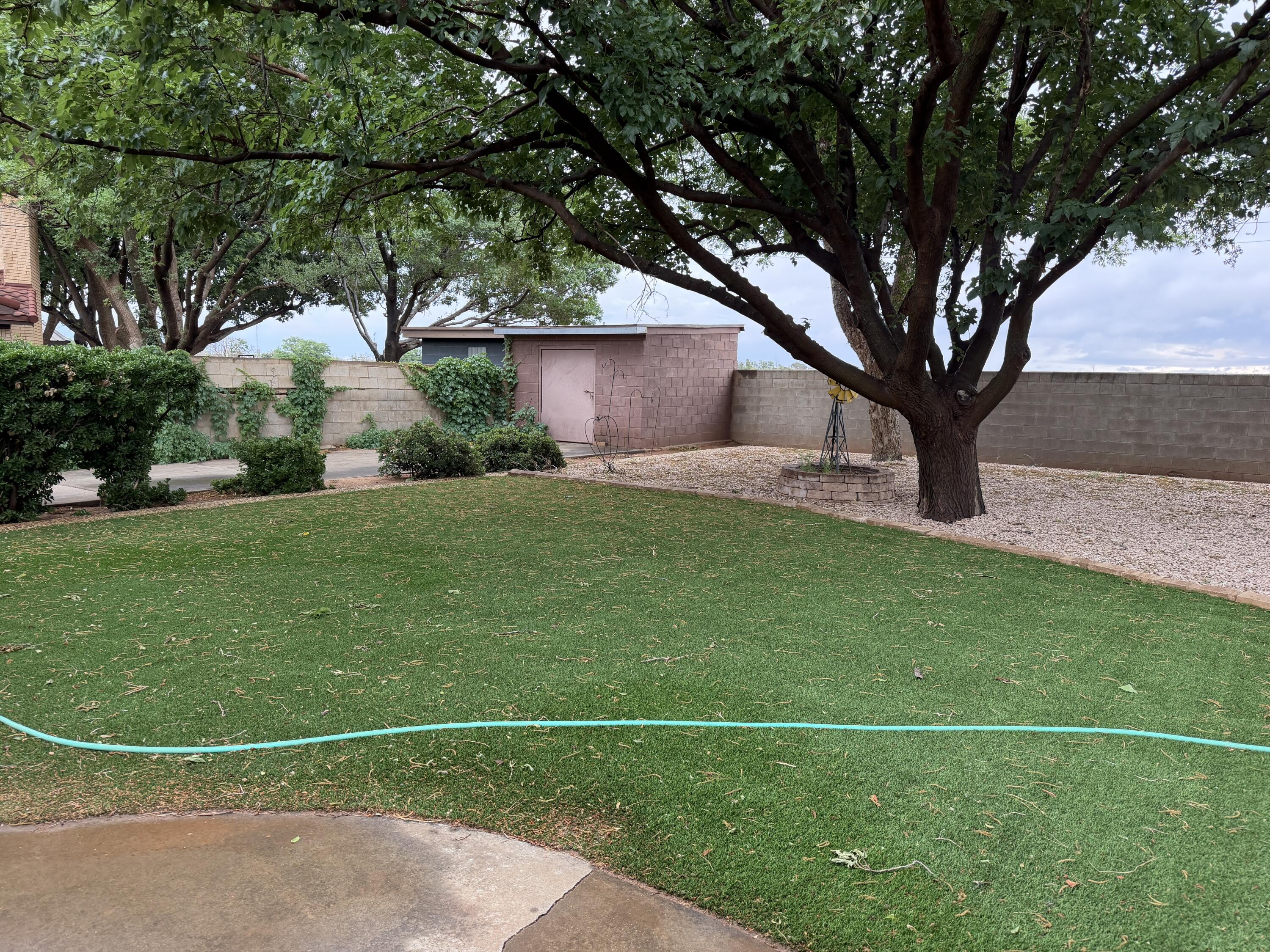 1603 South 8th Street Lamesa, TX 79331 - Photo 35 of 39 a backyard of a house with lots of green space and plants