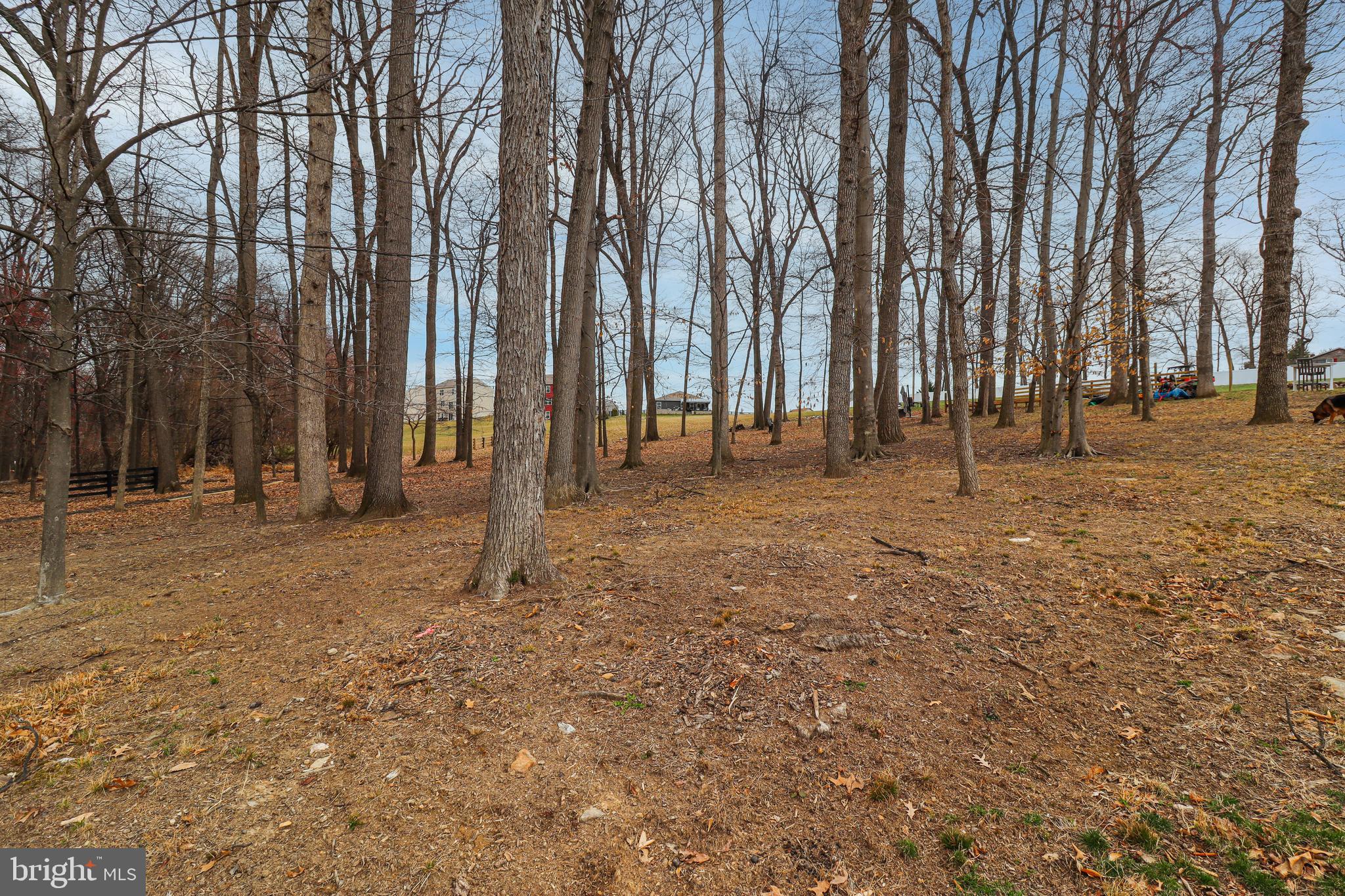 6180 Deborah Drive Spring Grove, PA 17362 - Photo 11 of 48 Gallery Image 11