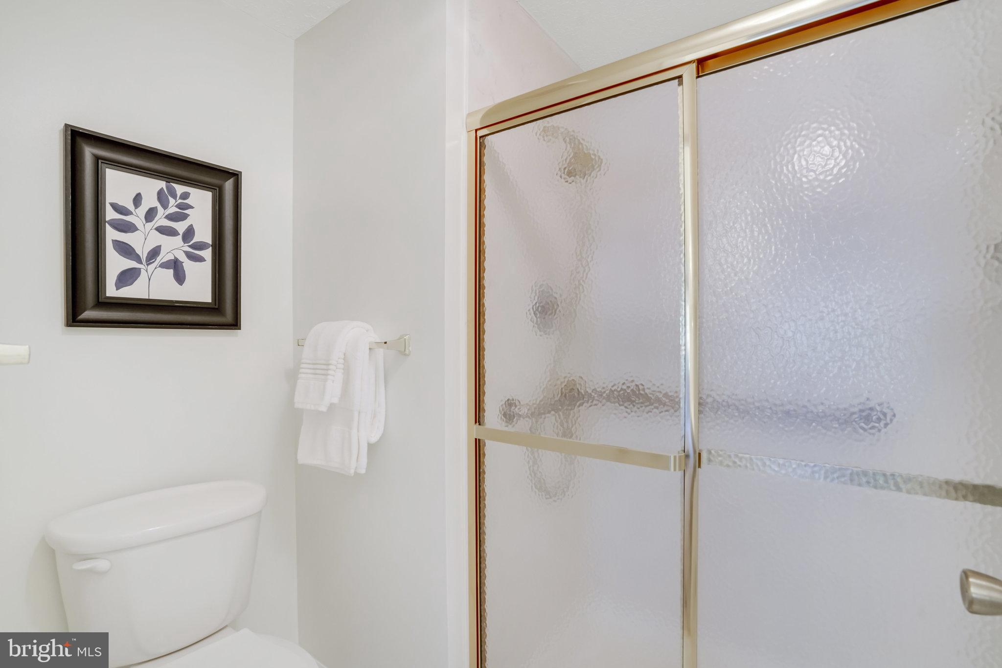 8012 Treasure Tree Court Springfield, VA 22153 - Photo 45 of 69 Primary Bath