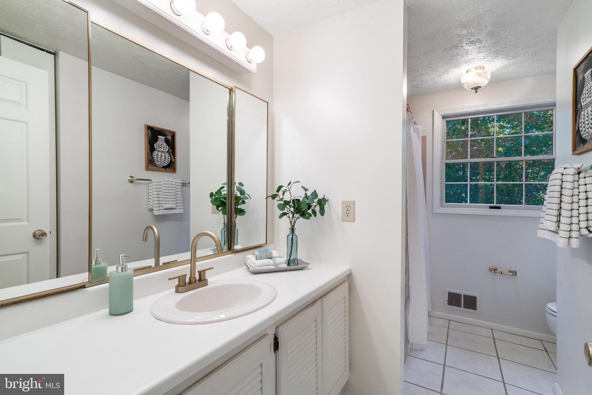 8012 Treasure Tree Court Springfield, VA 22153 - Photo 58 of 69 Full Hall Bath