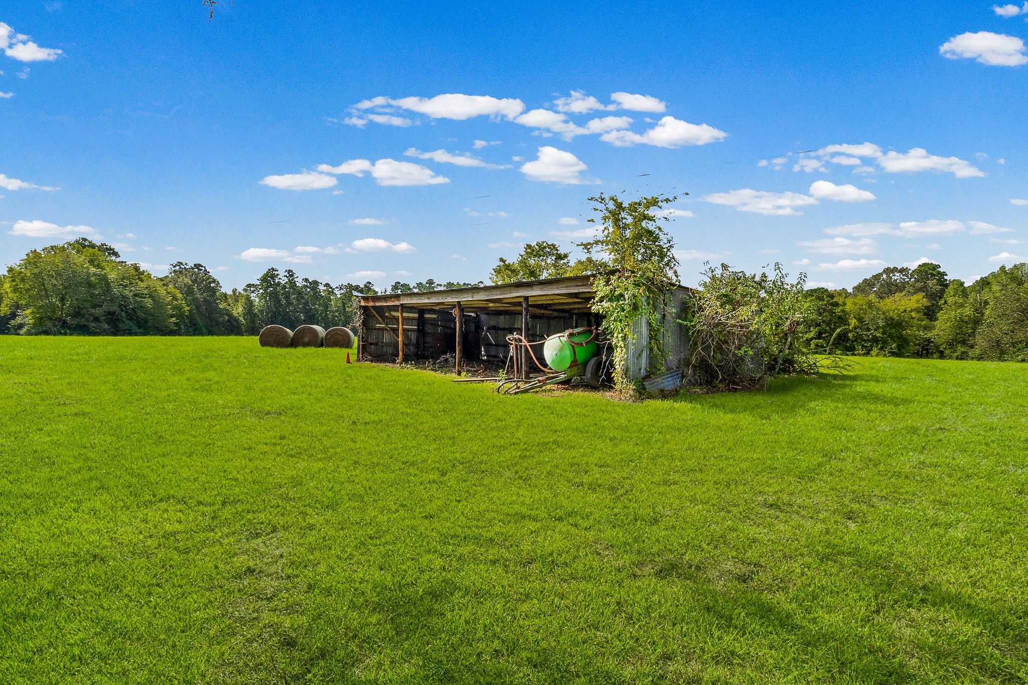 264 David Hon Road Livingston, TX 77351 - Photo 28 of 49 4 Stall Pole Barn
