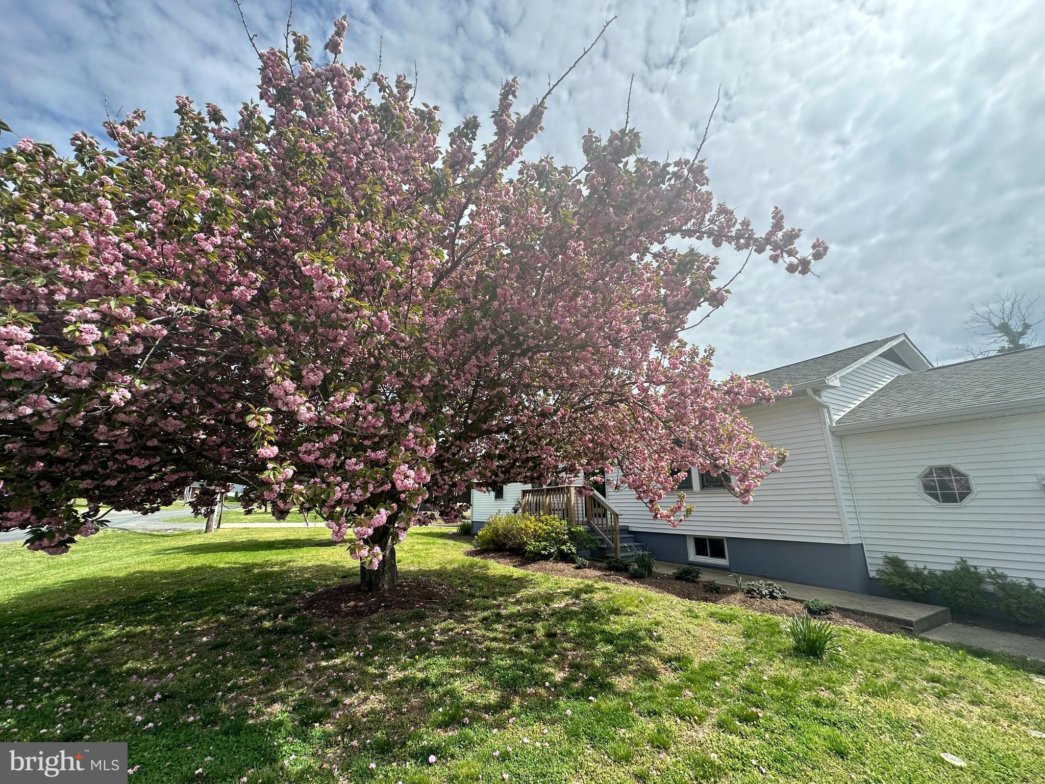 5520 Bonnie Brook Road Cambridge, MD 21613 - Photo 45 of 46 Gallery Image 45