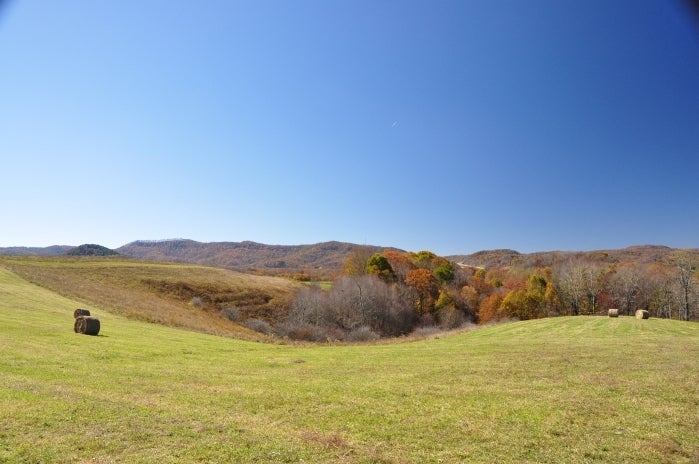 101 Grassy Meadows Road Alderson, WV 24910 - Photo 20 of 40 Grassy Meadows Farm - Tour 08