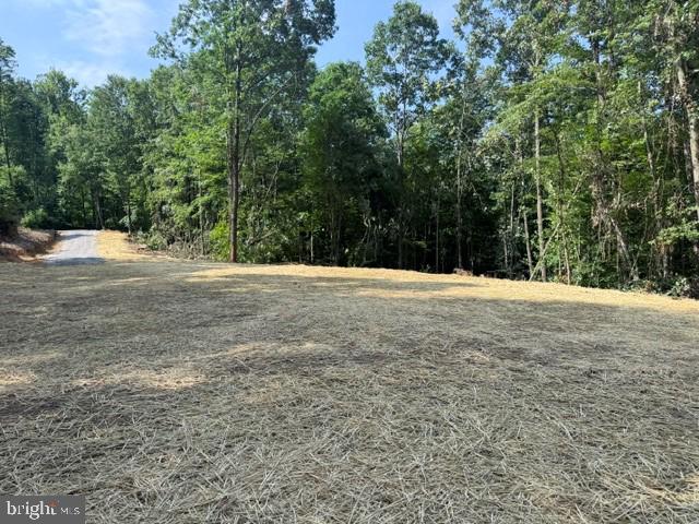 Tbd Locust Grove Road Thornton, WV 26440 - Photo 1 of 24