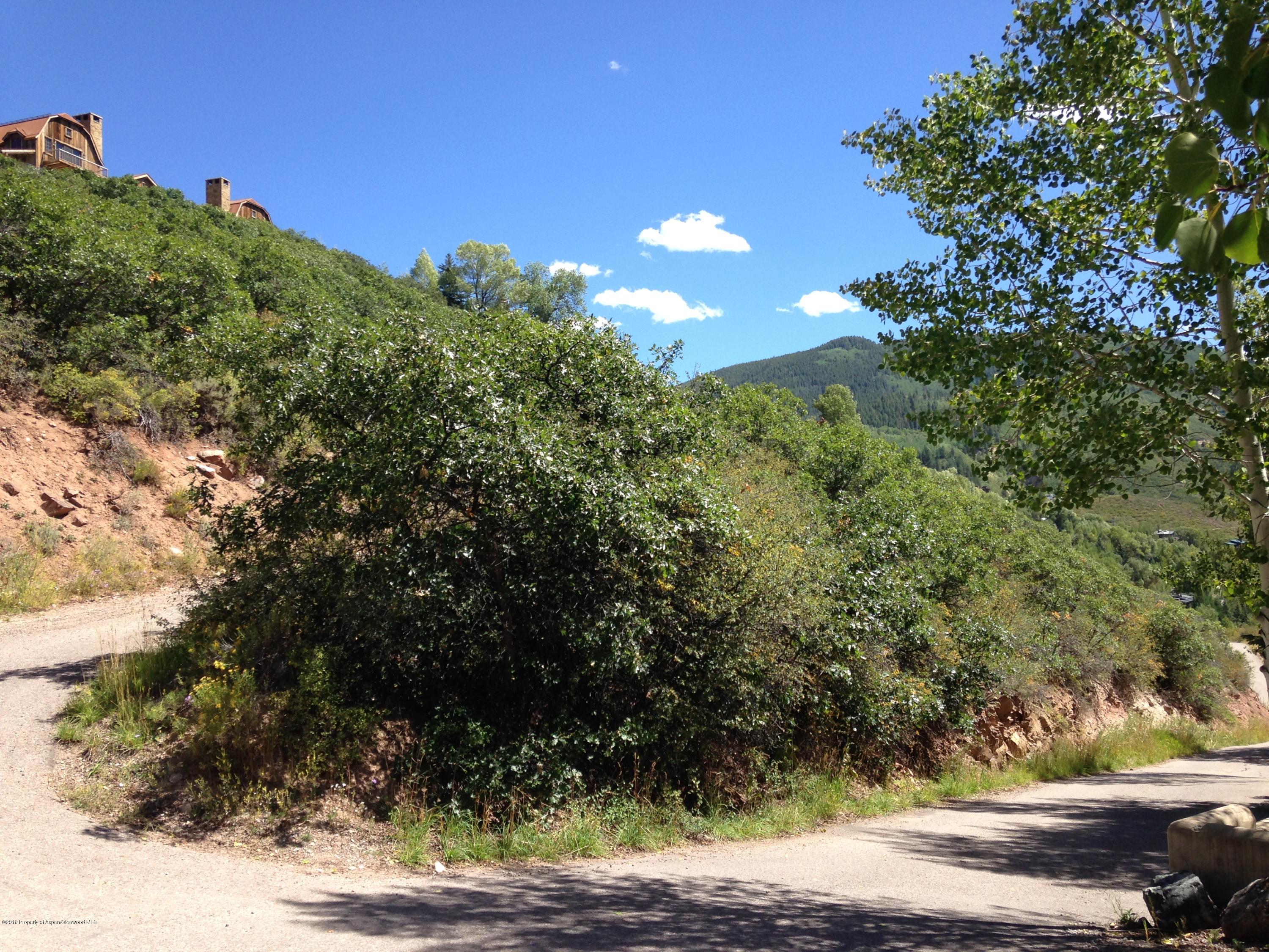 221 Wright Road Aspen, CO 81612 - Photo 14 of 16 a view of a yard
