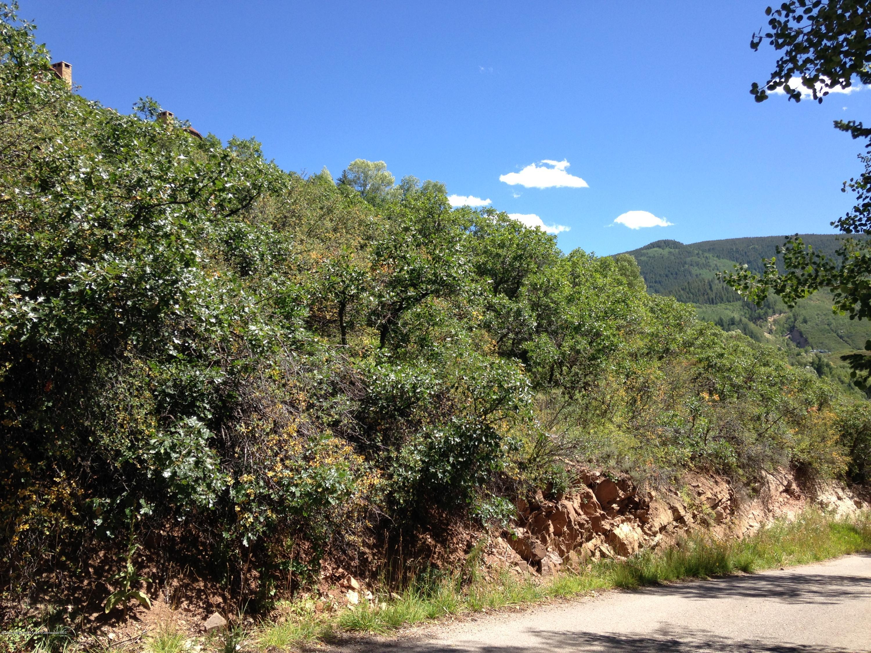 221 Wright Road Aspen, CO 81612 - Photo 15 of 16 a view of a yard with a tree