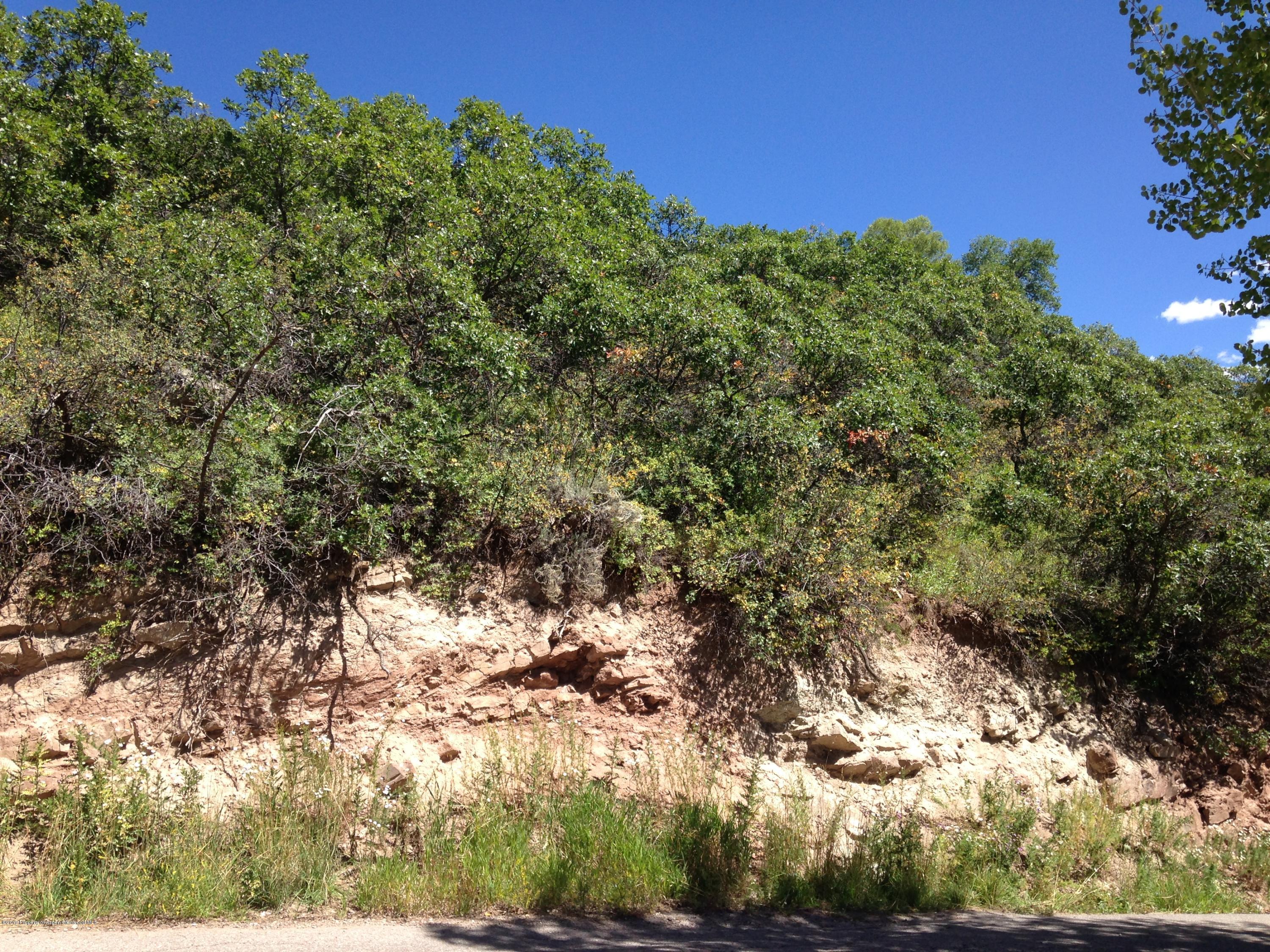 221 Wright Road Aspen, CO 81612 - Photo 16 of 16 a view of a large yard with lots of green space