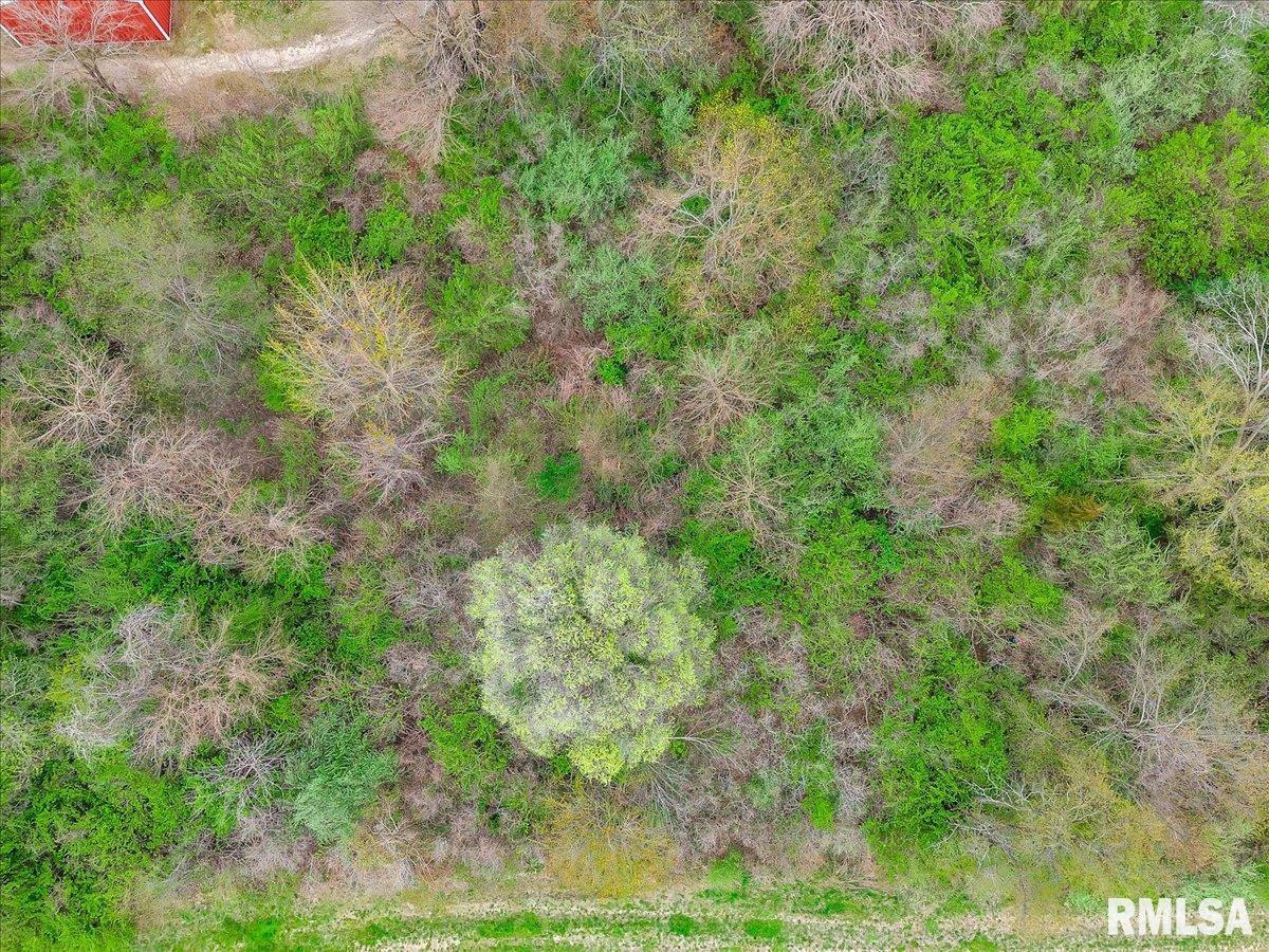 13422 Highway 40 Dunlap, IL 61525 - Photo 26 of 33