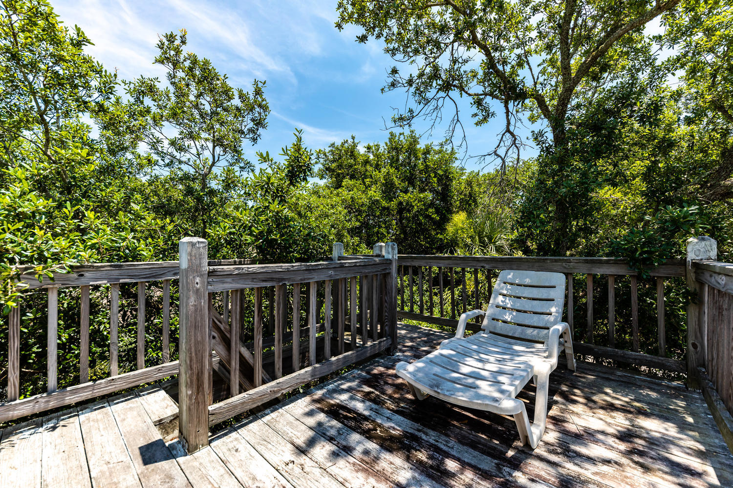 503 Jungle Road Edisto Island, SC 29438 - Photo 23 of 29 503