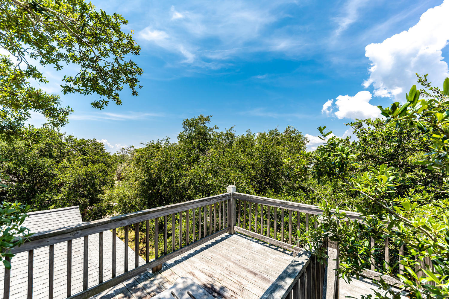 503 Jungle Road Edisto Island, SC 29438 - Photo 24 of 29 503