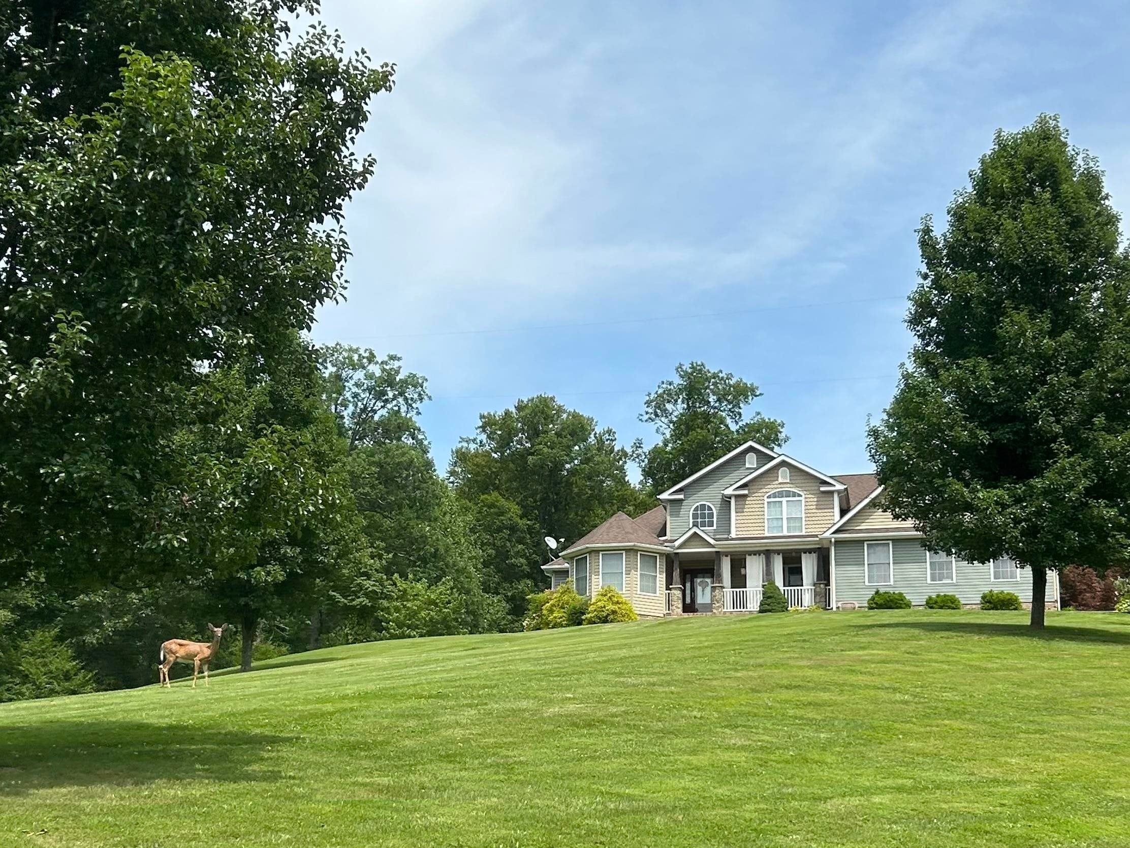 152 Hickory Hill Road Fort Gay, WV 25514 - Photo 1 of 25 Gallery Image 1