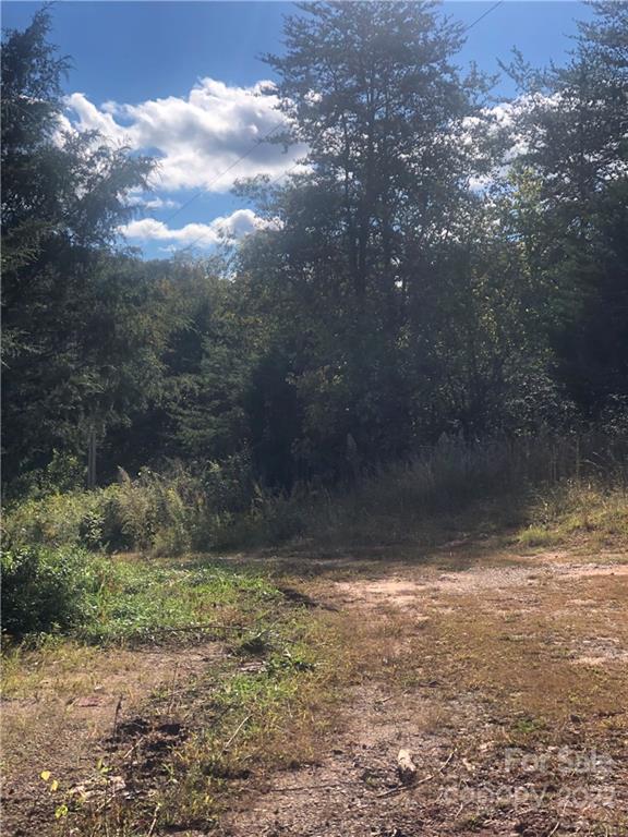 429 Tightrun Loop Road Union Mills, NC 28167 - Photo 11 of 36