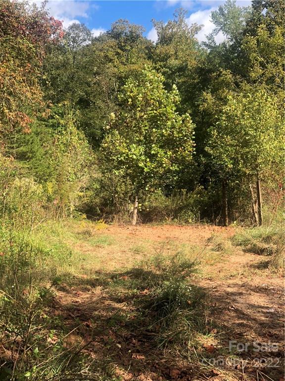 429 Tightrun Loop Road Union Mills, NC 28167 - Photo 17 of 36 a view of ocean view