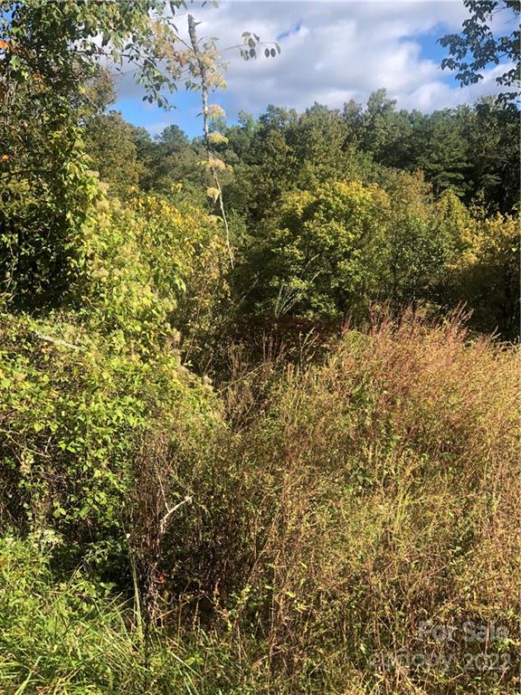 429 Tightrun Loop Road Union Mills, NC 28167 - Photo 19 of 36 a view of a bunch of plants and trees