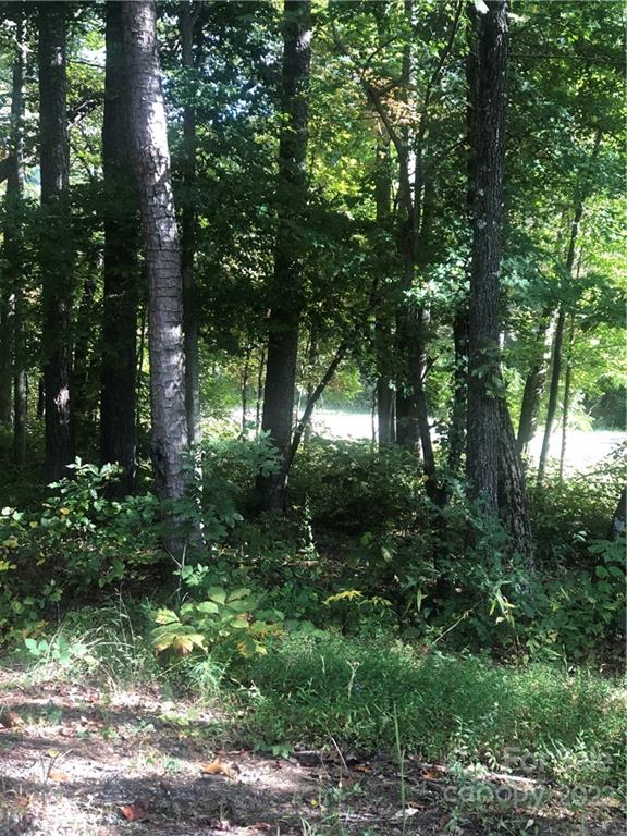 429 Tightrun Loop Road Union Mills, NC 28167 - Photo 22 of 36 a view of street view