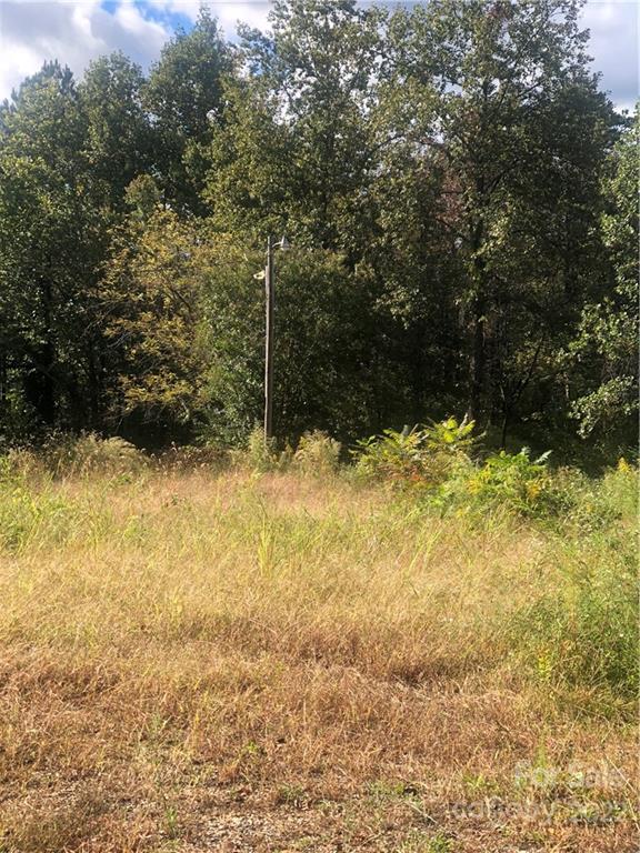 429 Tightrun Loop Road Union Mills, NC 28167 - Photo 23 of 36 a view of yard with trees