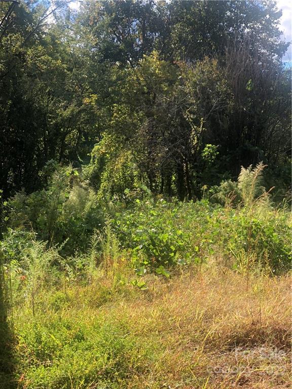 429 Tightrun Loop Road Union Mills, NC 28167 - Photo 25 of 36 a view of a yard with plants and large trees