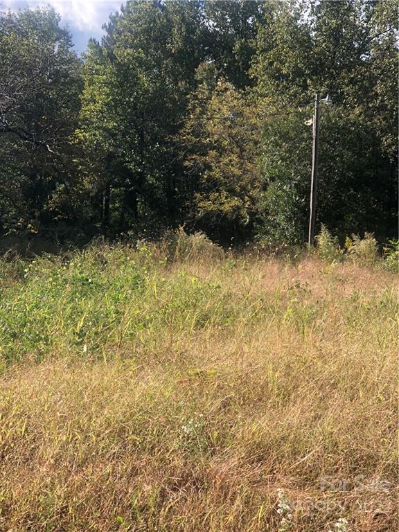 429 Tightrun Loop Road Union Mills, NC 28167 - Photo 26 of 36 a view of a yard with trees