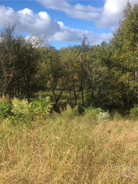 429 Tightrun Loop Road Union Mills, NC 28167 - Photo 27 of 36 a view of a yard with a tree