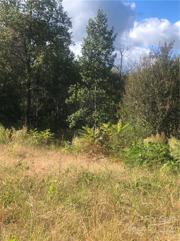 429 Tightrun Loop Road Union Mills, NC 28167 - Photo 28 of 36 a view of outdoor space and a yard