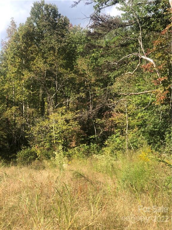429 Tightrun Loop Road Union Mills, NC 28167 - Photo 29 of 36 a view of a yard