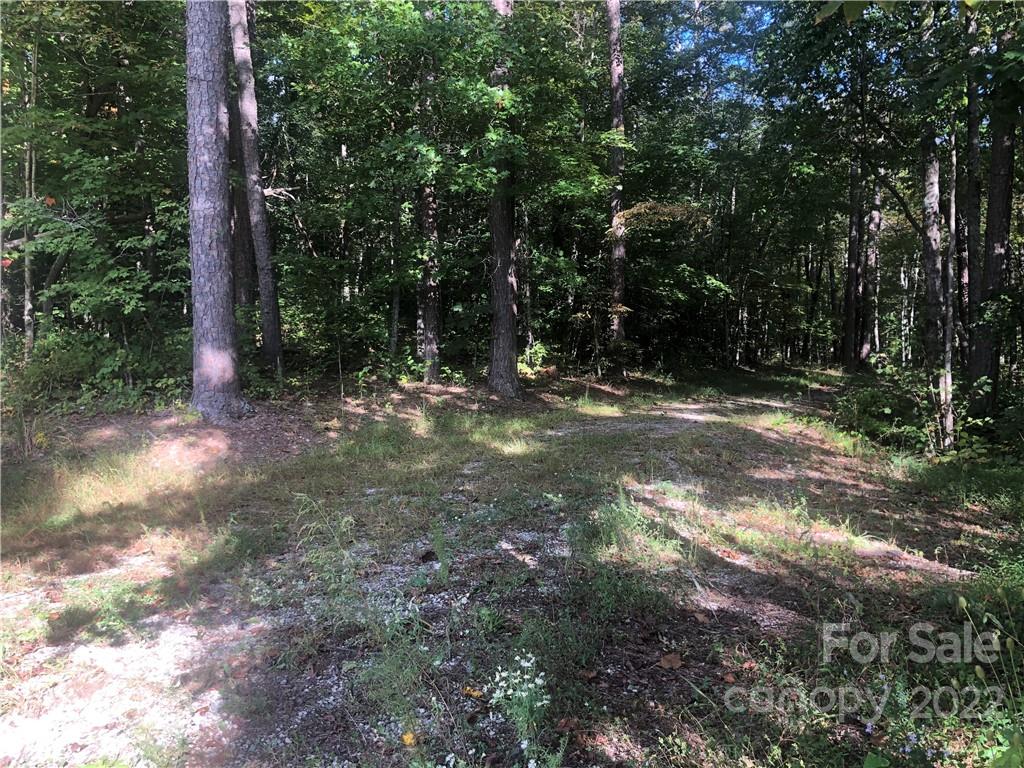 429 Tightrun Loop Road Union Mills, NC 28167 - Photo 31 of 36 a view of outdoor space with trees