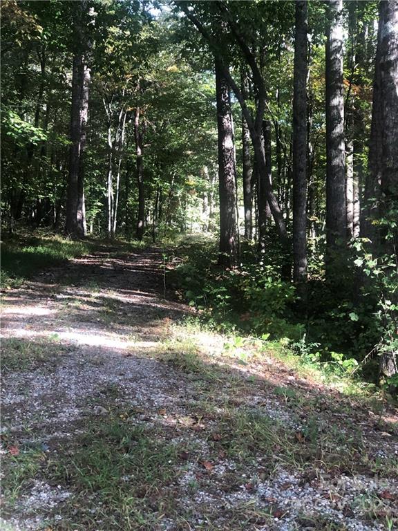 429 Tightrun Loop Road Union Mills, NC 28167 - Photo 5 of 36 a view of a yard with large trees