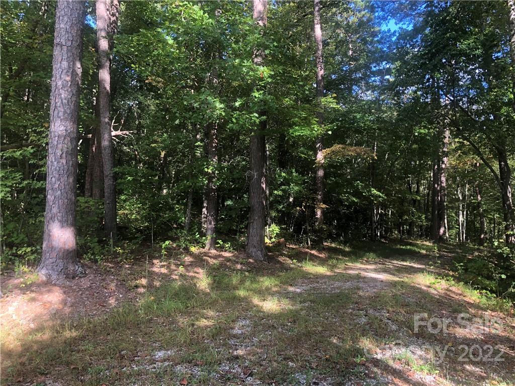 429 Tightrun Loop Road Union Mills, NC 28167 - Photo 6 of 36 a view of outdoor space with trees