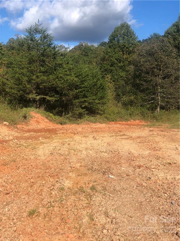 429 Tightrun Loop Road Union Mills, NC 28167 - Photo 10 of 36 a view of a yard with an outdoor space