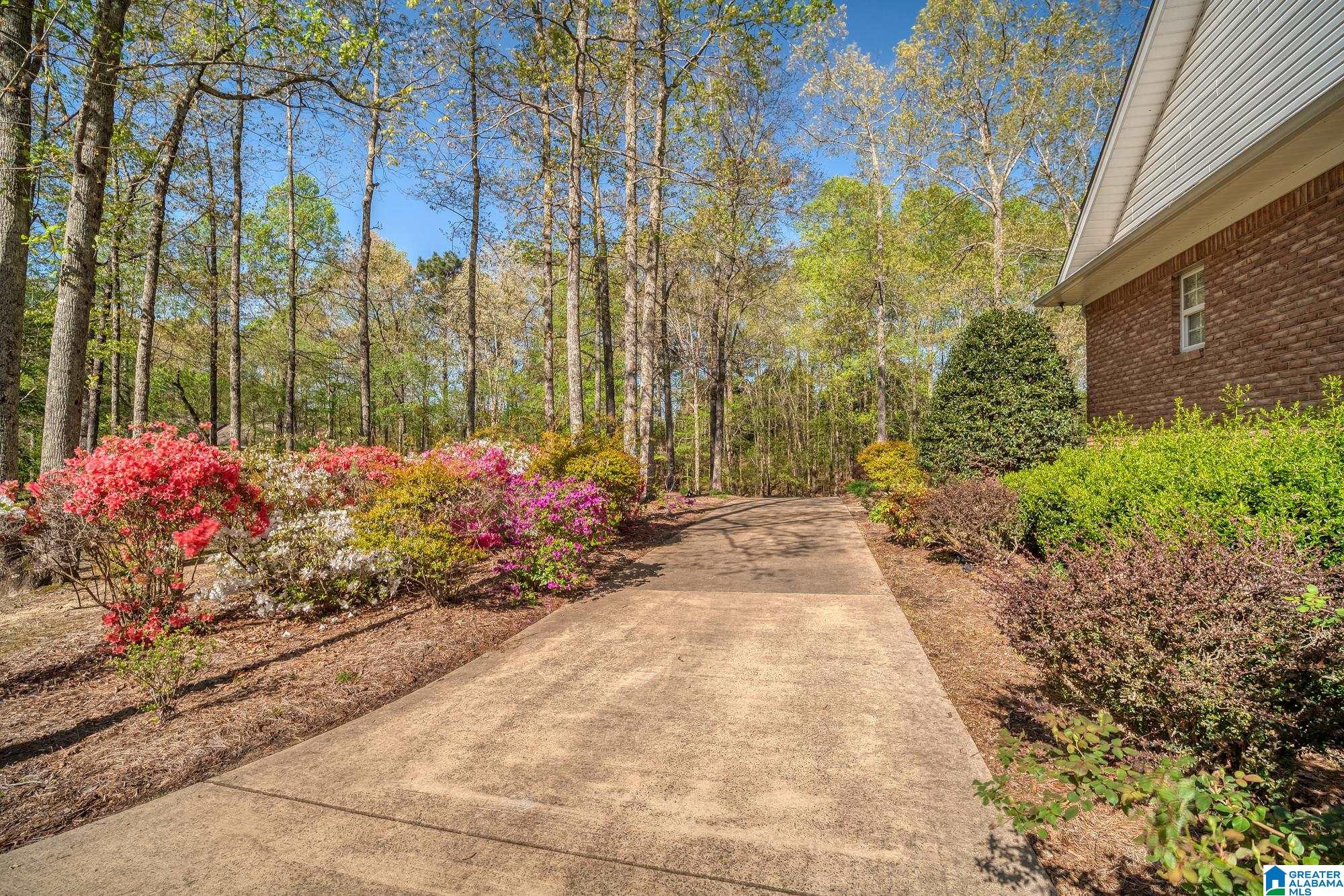 3901 Turkey Run Jasper, AL 35504 - Photo 7 of 62