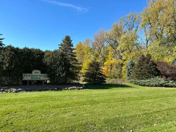 a view of yard with trees