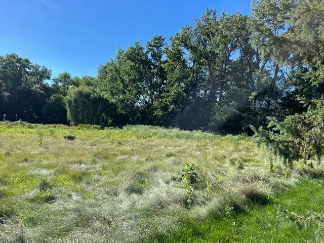 a view of white wall with a yard