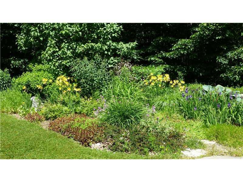 425 Muzzy Ridge Road Searsmont, ME 04973 - Photo 13 of 19 Yard/Garden.
