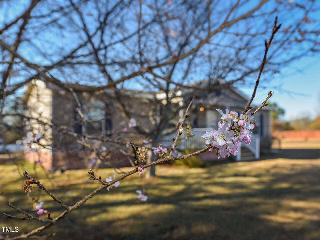 870 Wiggins Road Angier, NC 27501 - Photo 2 of 30 Exterior - cherry tree - OK