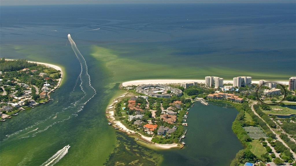 250 Sands Point Road, Unit 5101 Longboat Key, FL 34228 - Photo 24 of 42