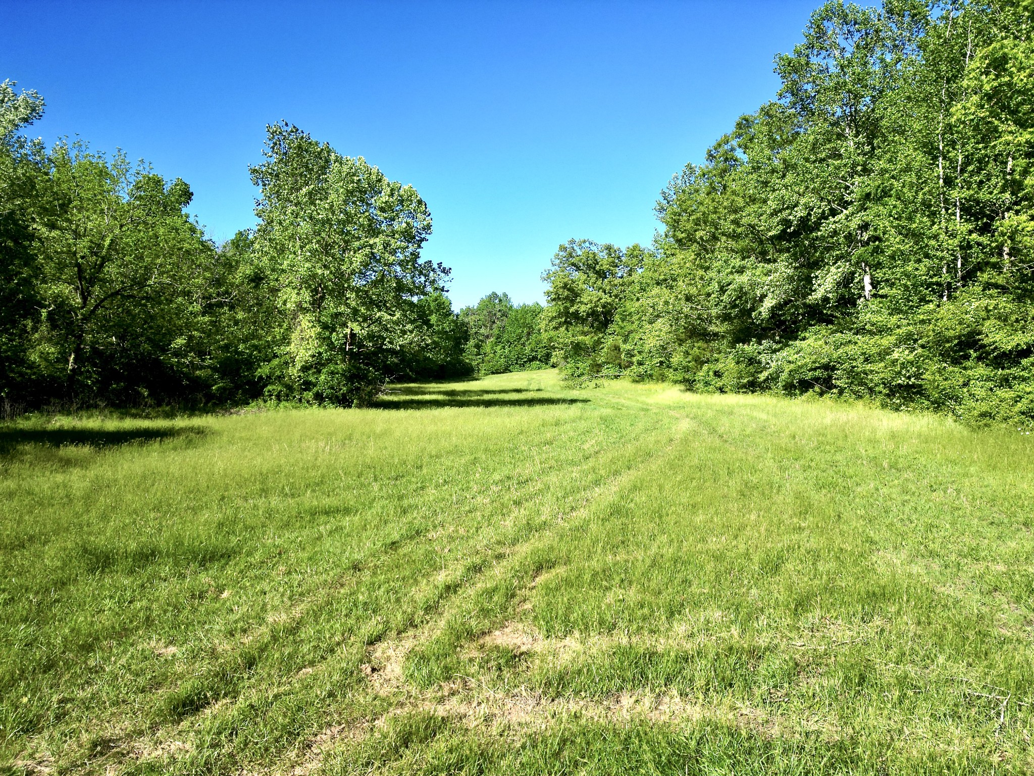 1920 Old Gallatin Road Portland, TN 37148 - Photo 23 of 50 Gallery Image 23