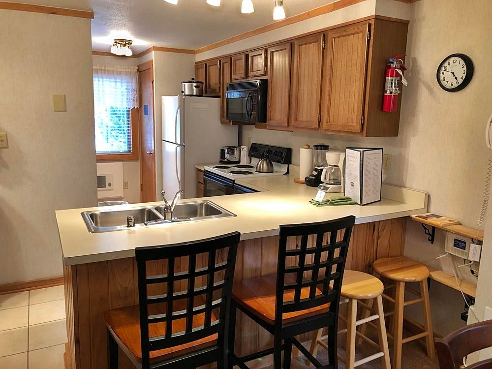 43 Powderidge Road Snowshoe, WV 26209 - Photo 3 of 19 Gallery Image 3