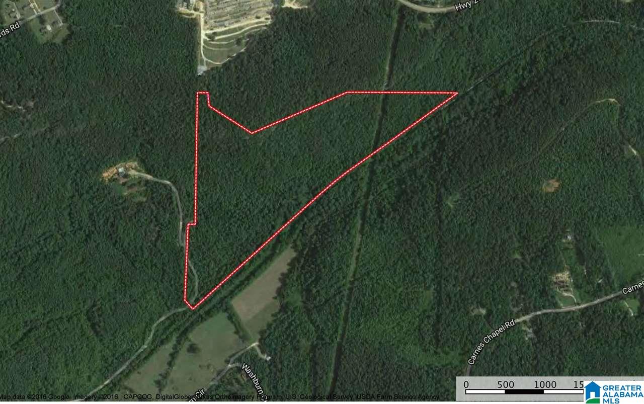 0 Bull Hollow Road, Unit 58 ACRES Gallant, AL 35972 - Photo 1 of 9