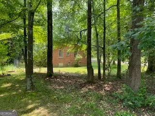a big yard with lots of green space and trees