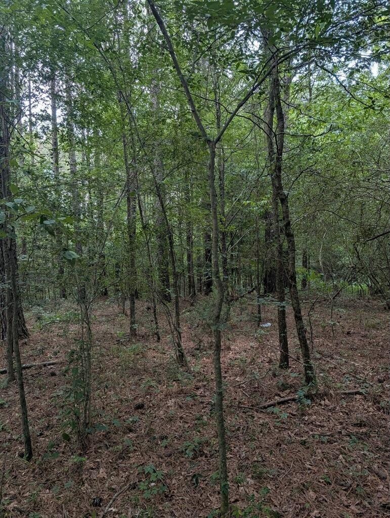1670 Samples Chapel Road Southeast Old Fort, TN 37362 - Photo 14 of 16 Gallery Image 14
