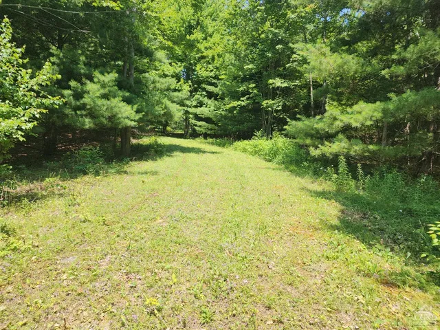 a view of yard with green space