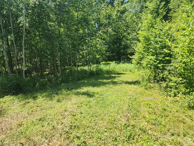 a backyard of a house with lots of green space and garden