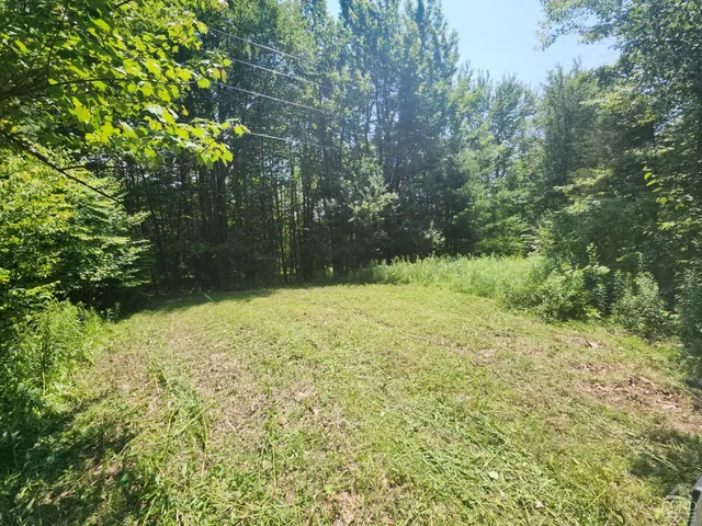 a big yard with lots of green space and trees
