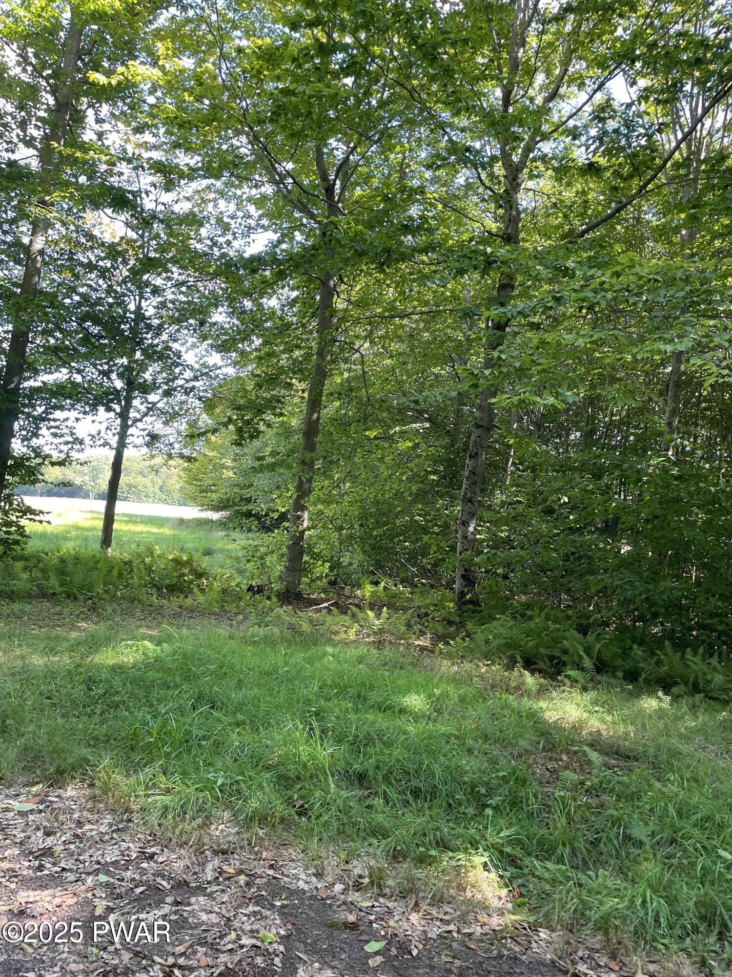 65 Mane Street Equinunk, PA 18417 - Photo 12 of 18